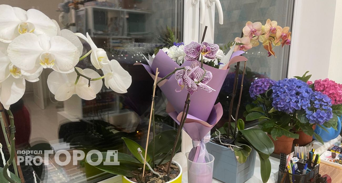 Орхидея стоит «веником» и не цветёт годами – меняем одно правило в уходе и запускаем бутонизацию