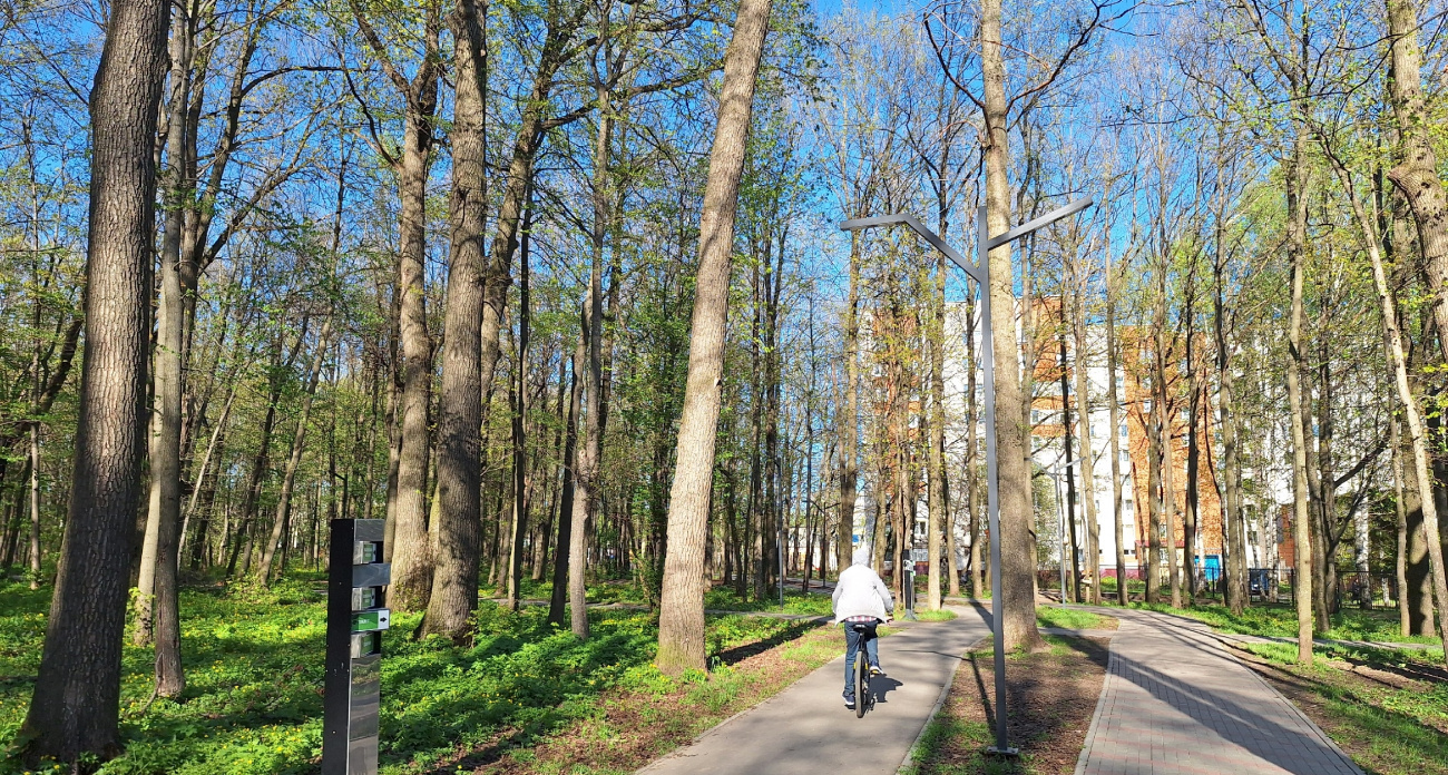 Зима капитулирует: в какие регионы России весна нагрянет намного раньше срока — неожиданный прогноз главного метеоролога