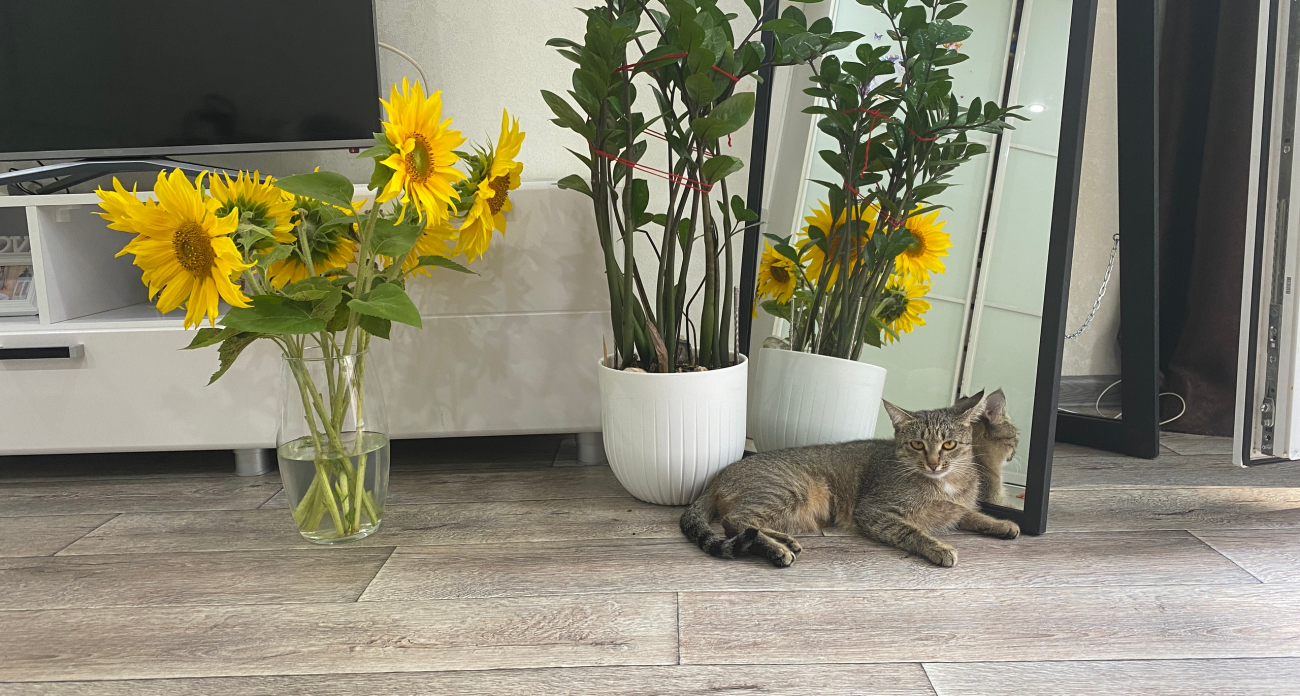 Никогда не начинайте уборку с этого - следуйте 3 правилам, которые помогут не тратить на чистку часы 