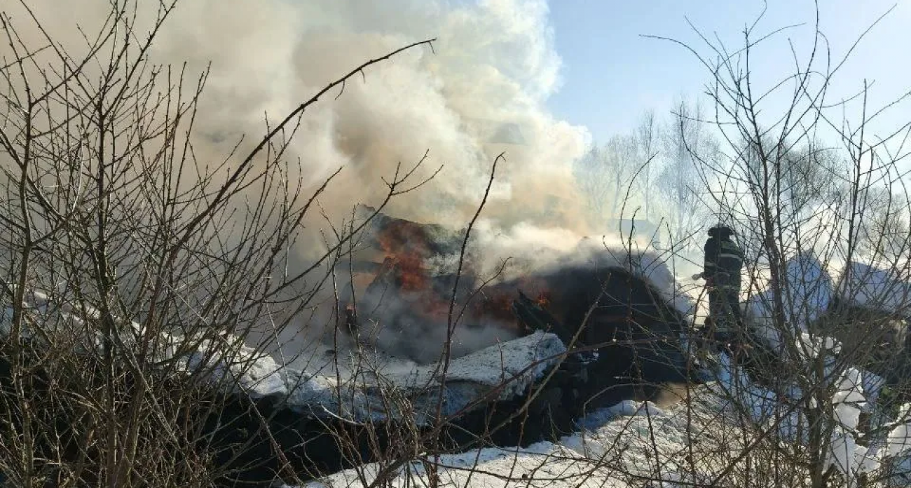 Пожар в жилом доме потушили в Борском районе