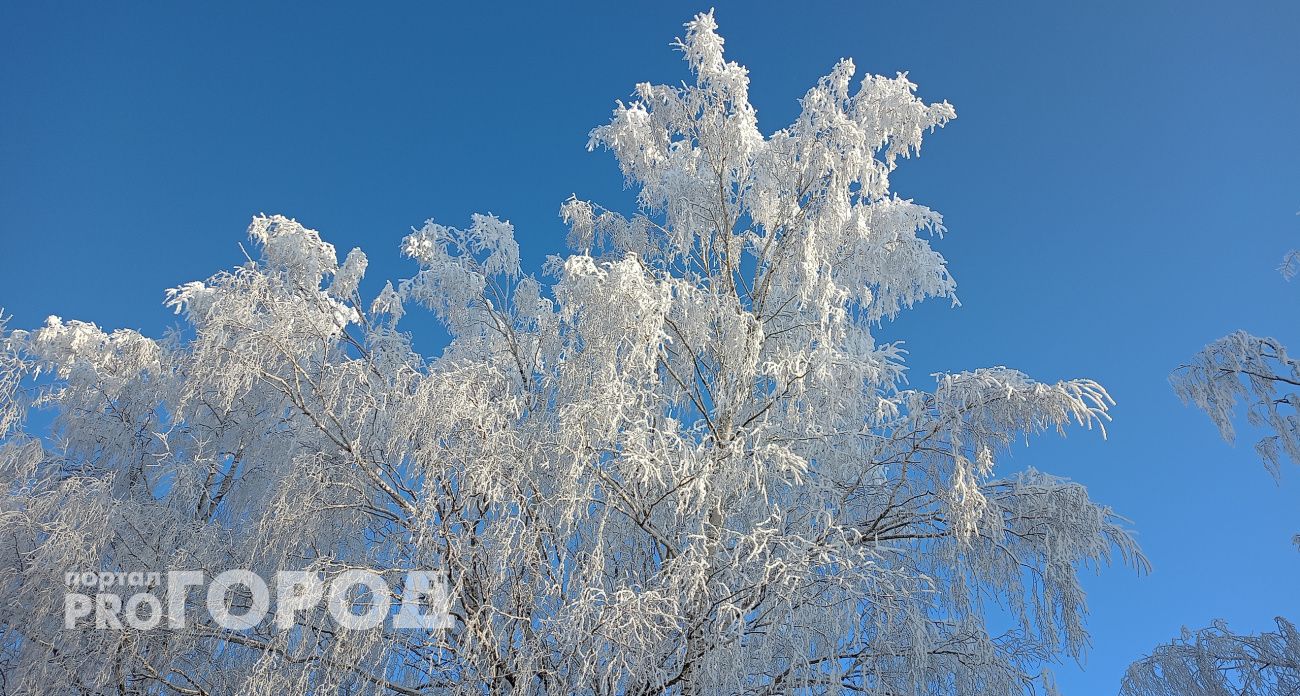 Без надежды на потепление: неделя в Нижегородской области начнется с 20-градусного мороза