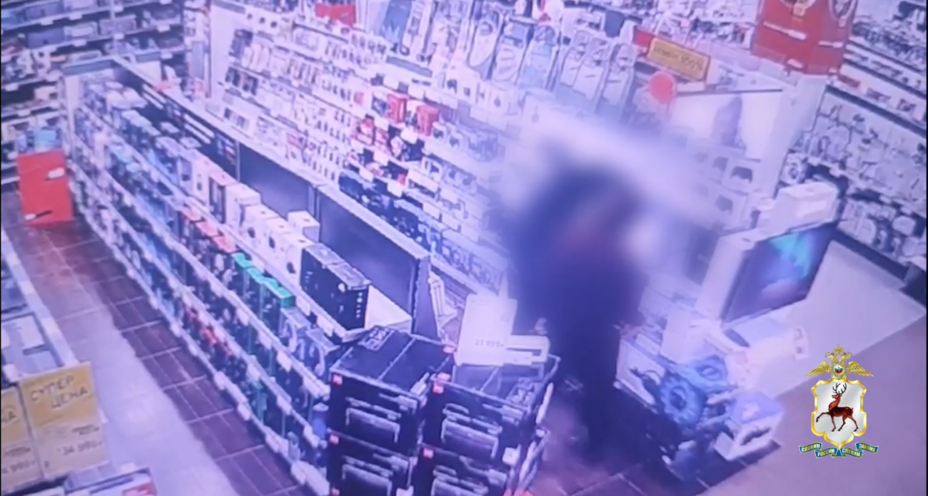 В Нижнем Новгороде подросток обчистил магазин техники на 800 тысяч рублей