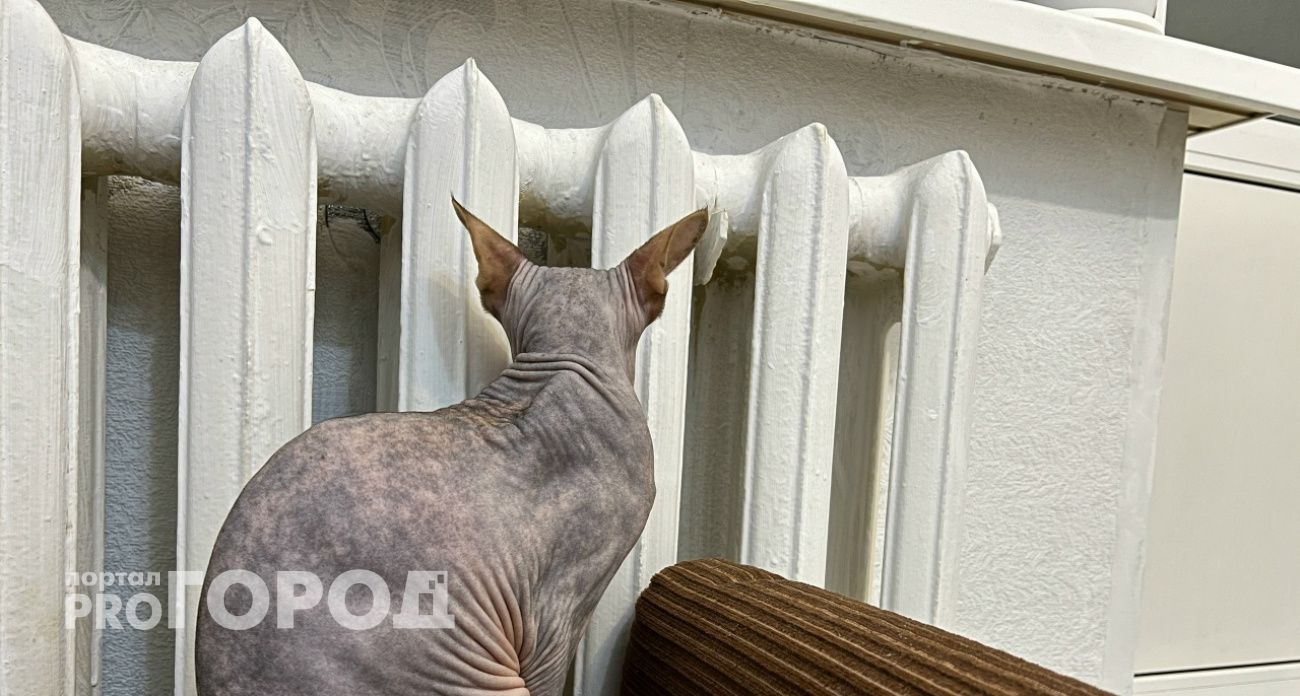 Десятки домов в Нижнем Новгороде остались без отопления из-за коммунальной аварии