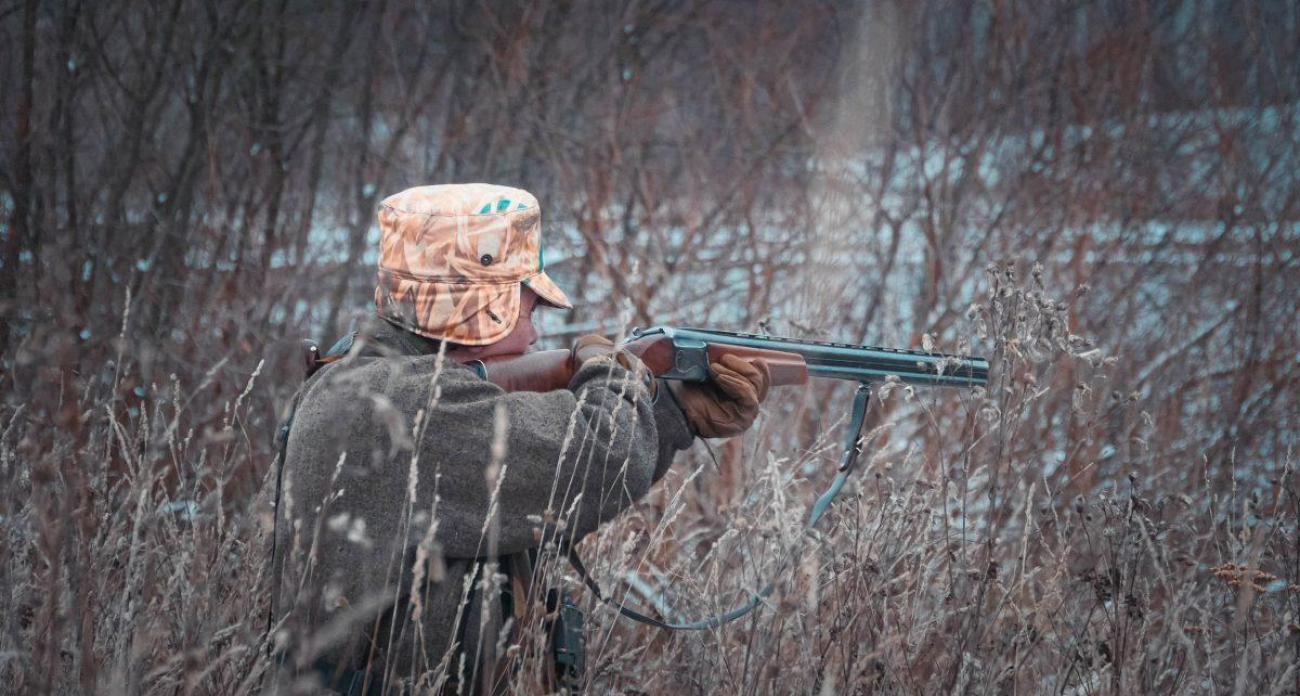 Охота ради безопасности: 60 волков и 215 лисиц отстрелены в Нижегородской области для защиты населения