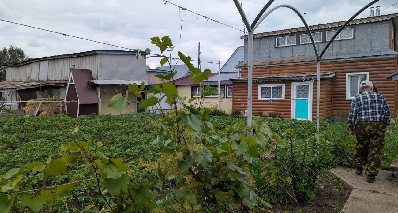Отберут дачу и заставят платить 700 тысяч: за какие растения в огороде будут карать с марта 2026 года