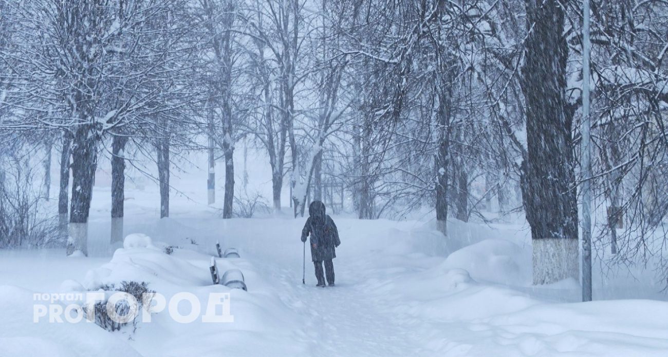 В Нижнем Новгороде полицейские разбираются, кто оставил пенсионерку без 1,2 миллиона рублей