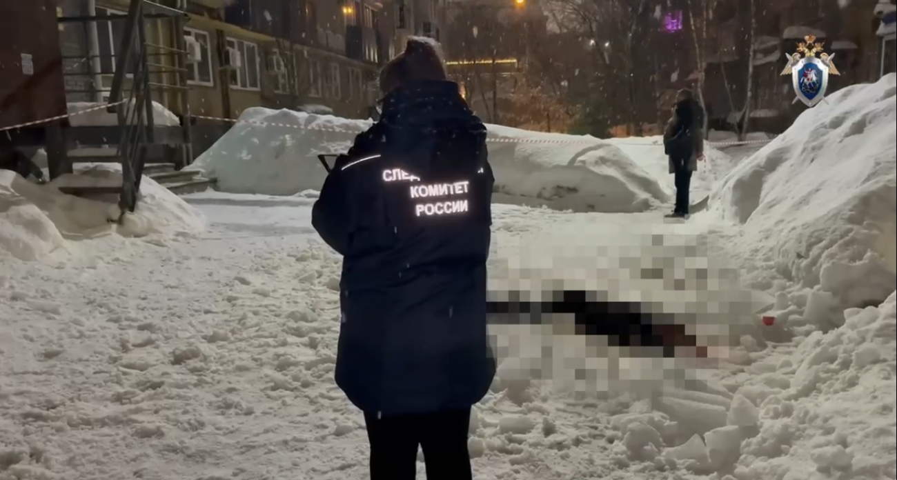Девушка погибла от падения наледи в Нижнем Новгороде