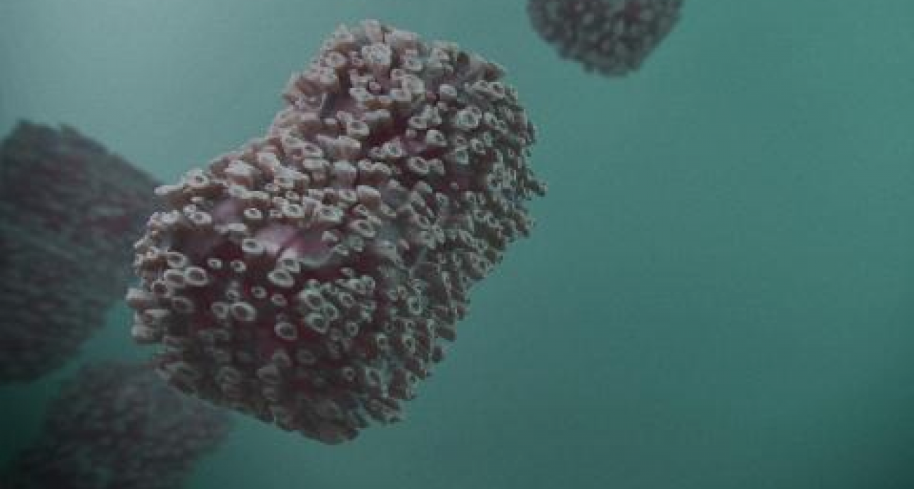 Вирус в спящем режиме: почему после ветрянки 100% непривитых рискуют заразиться повторно