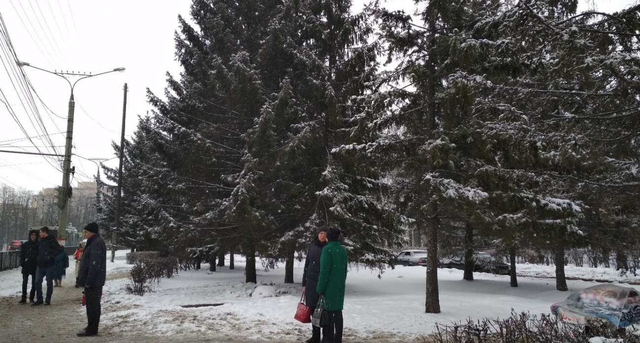 Погода 20 февраля точно расскажет, каким будет лето 2026 – жарким или холодным