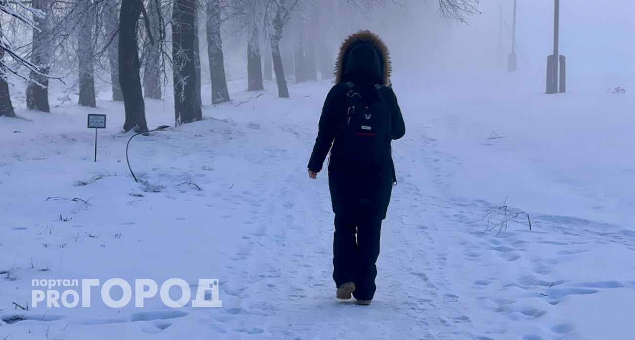 Педагог из Богородска лишилась всех сбережений за час