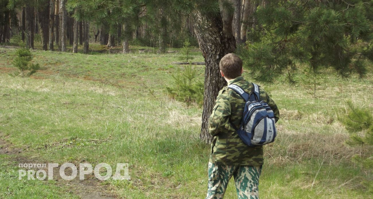 В Нижегородской области в этом году восстановят более 14 тысяч гектаров леса