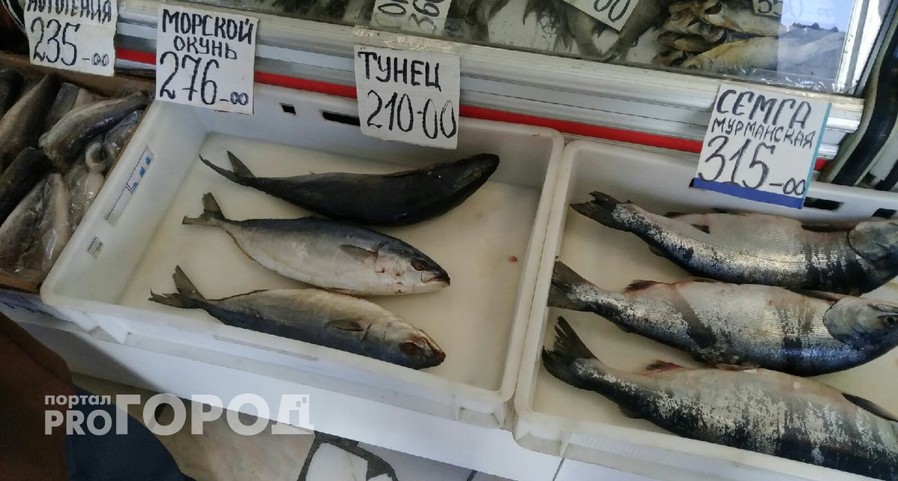 Вы всю жизнь покупали не ту рыбу: названа самая полезная для человека рыба – ешьте дважды в неделю