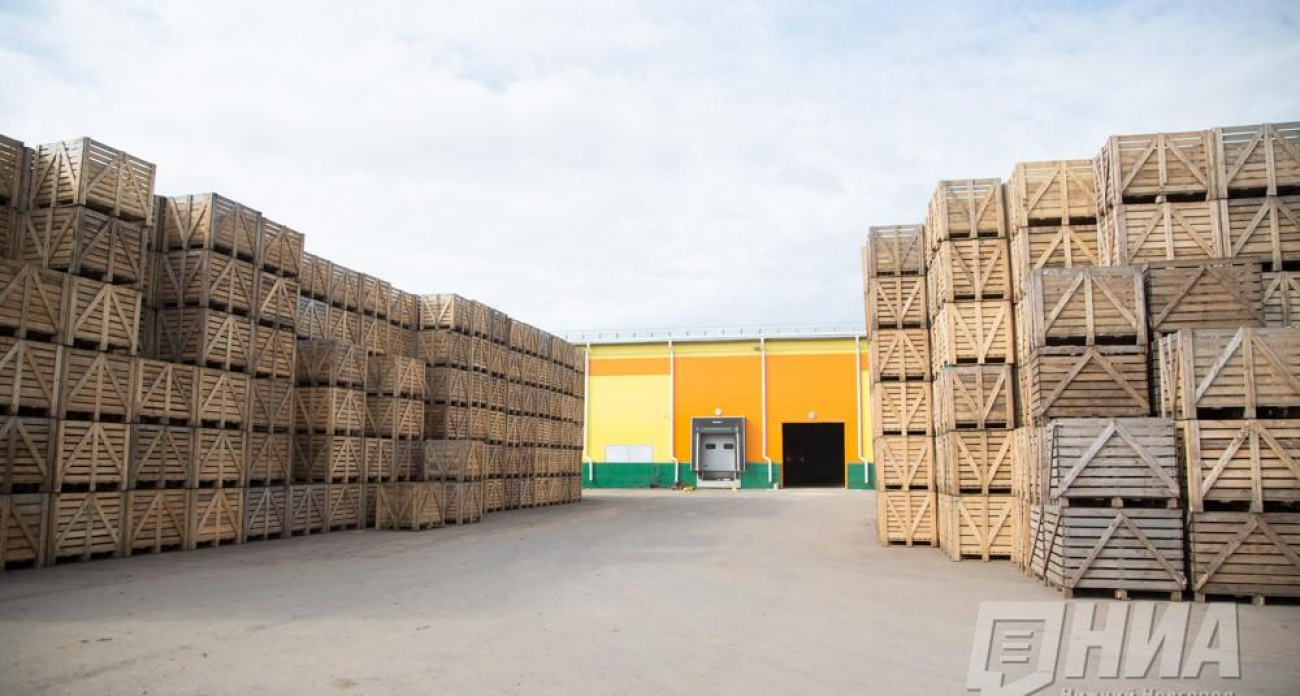 Оборот в $9,3 млрд при падении экспорта на 10%: Нижегородская область меняет неэффективную стратегию торговли