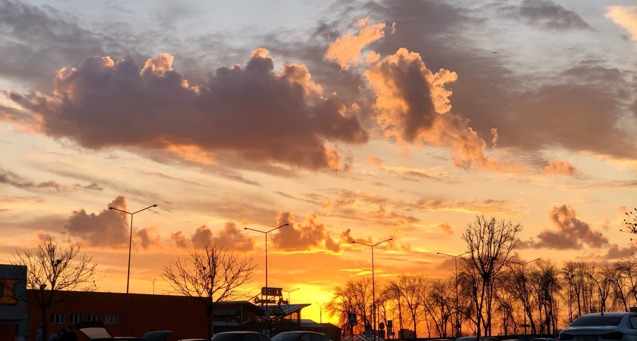 Зима отменяется: Вильфанд раскрыл, когда в Центральную Россию нагрянет аномально ранняя весна