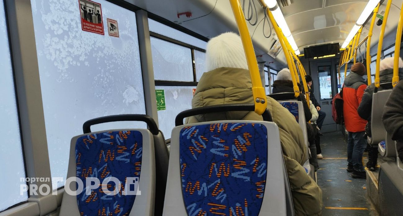 Липовый ЦБ обеднил счет жительницы Сарова почти на 400 тысяч рублей