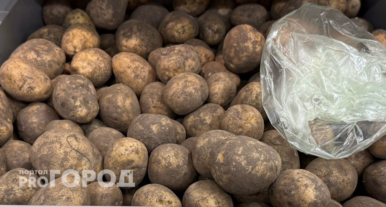 Нашёл 3 бомбических сорта картошки с крупными клубнями – для пюре, запекания и жарки: копаю и не могу нарадоваться