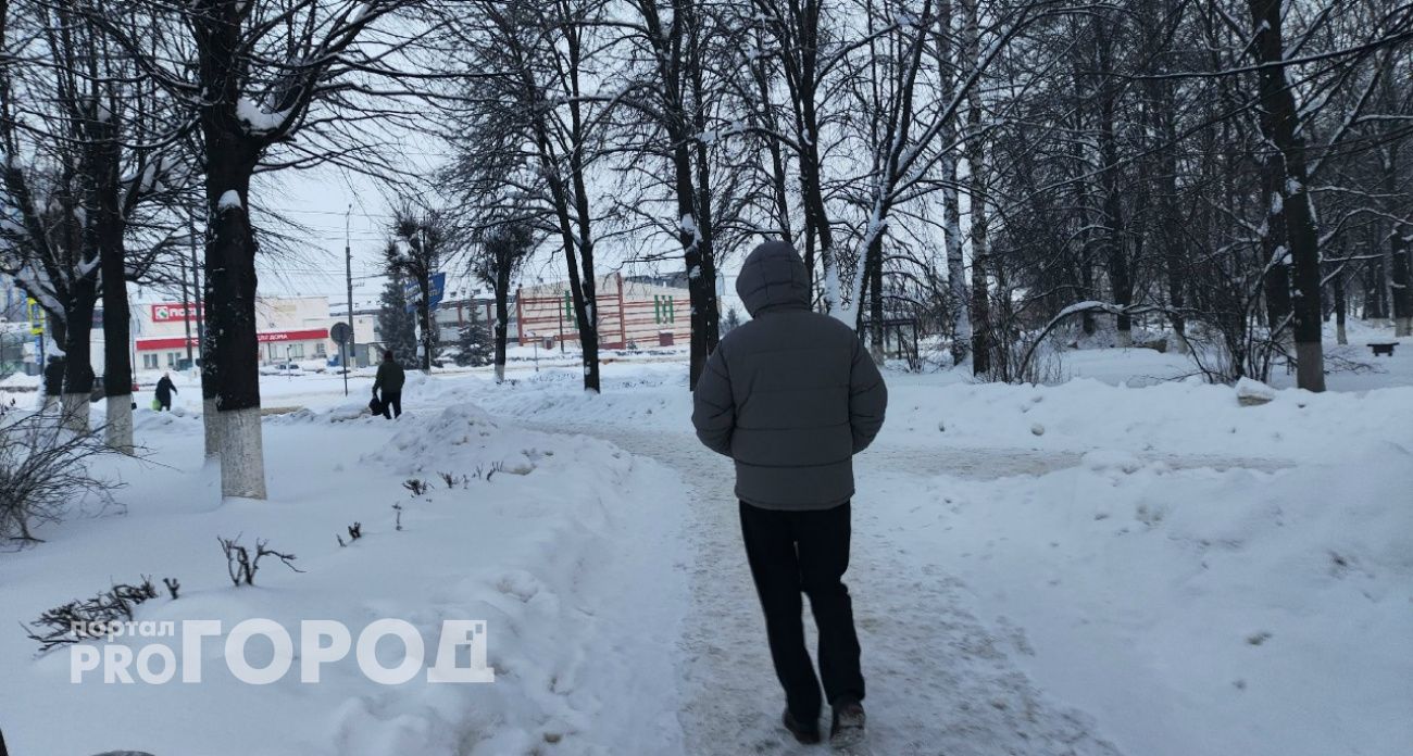 Машина мечты увела 720 тысяч у жителя Арзамаса