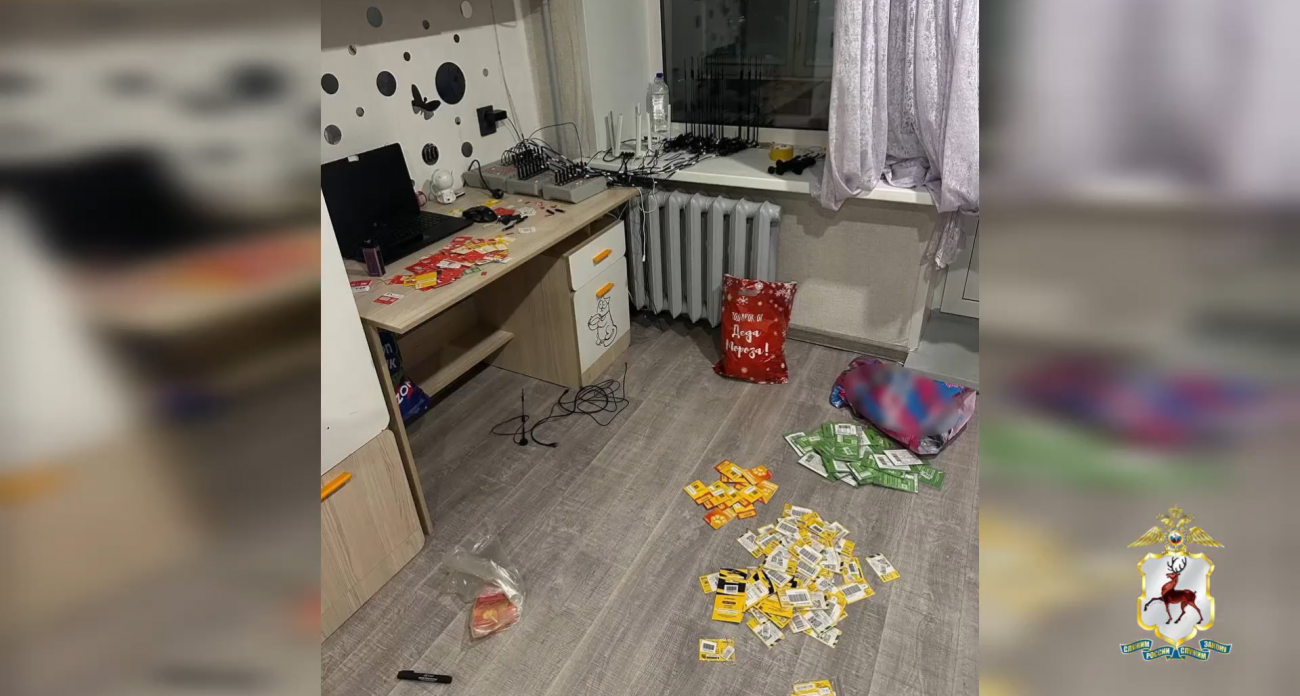 В Нижнем Новгороде задержали 19‑летнего юношу с 550 сим-картами для мошенников