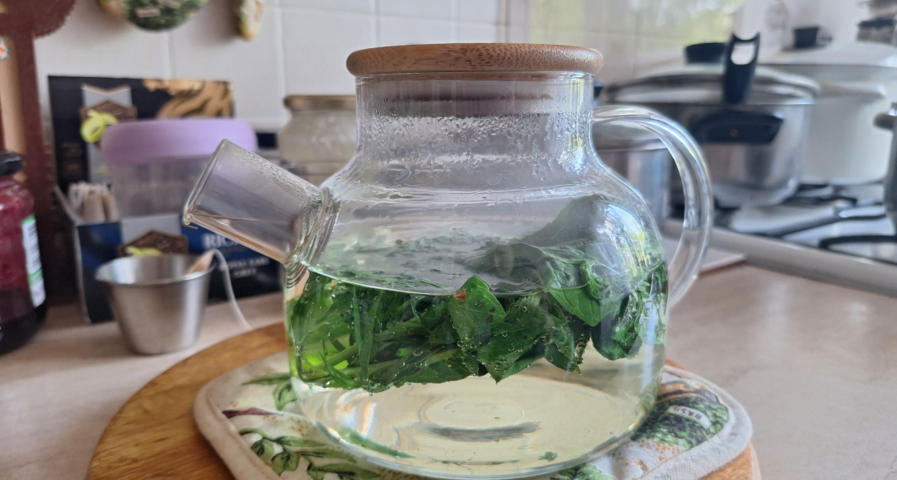 Обычный чай разгонит ваш метаболизм за секунды - почему именно зеленый чай гонит килограммы 