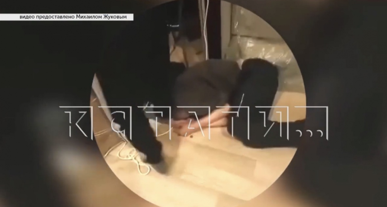 В Нижегородской области подростки забили 18‑летнего знакомого и снимали издевательства на видео