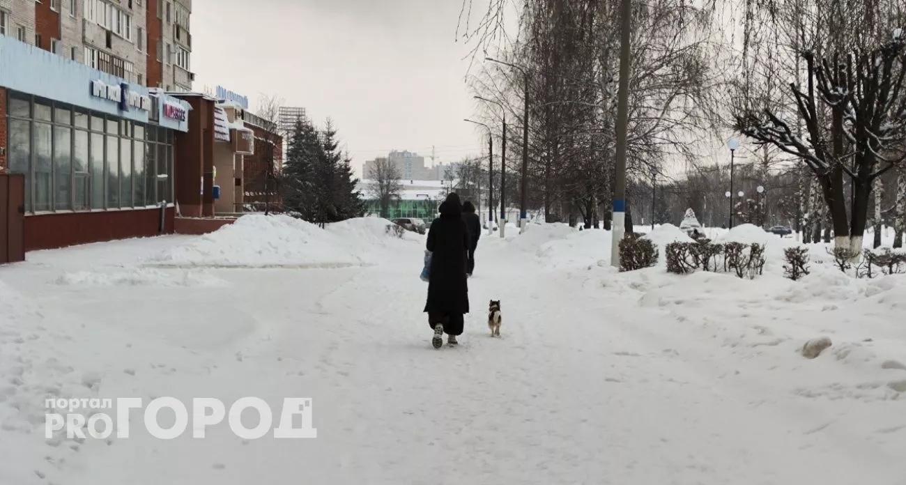 Пенсионерка из Большого Болдино отдала мошенникам 800 тысяч рублей, поверив в рассказ о "взломе аккаунта»"и "проверке ФСБ"