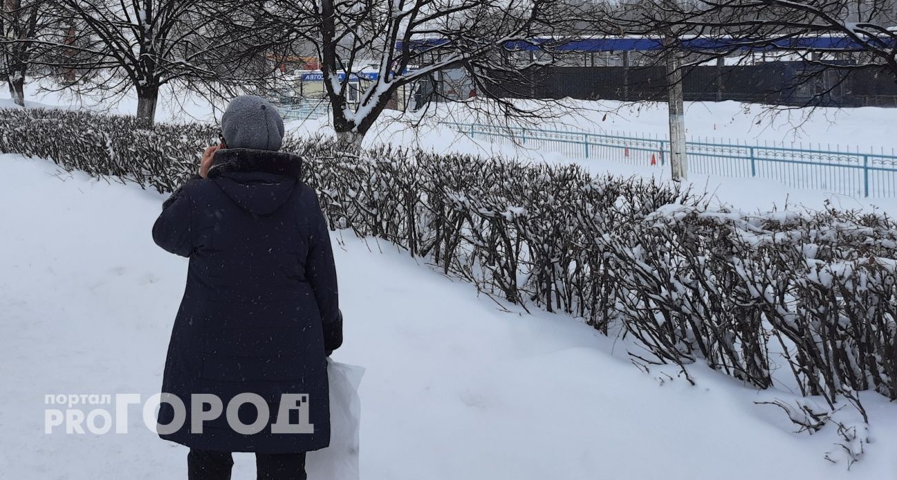 Жительница Арзамаса связалась по телефону с вымышленным госучреждением, которое отобрало у нее 160 тысяч рублей