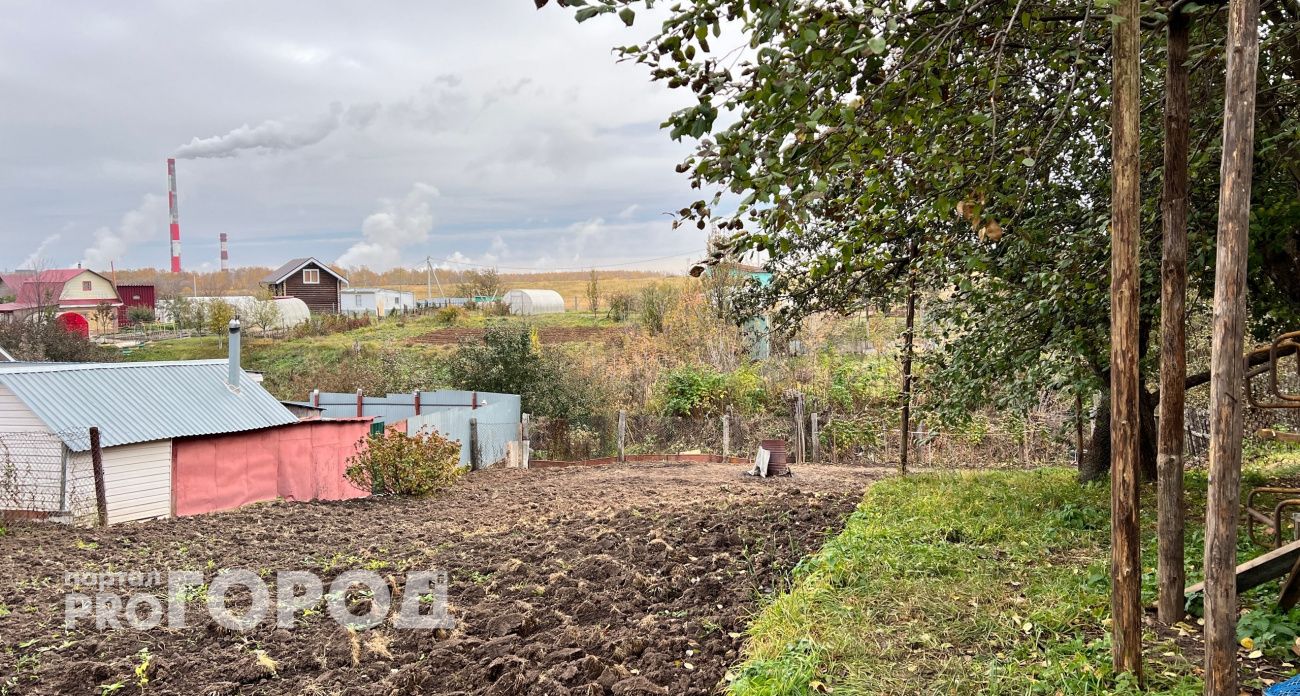 Теперь землю начнут изымать без спроса: жесткое решение ждет всех, у кого есть дача или участок