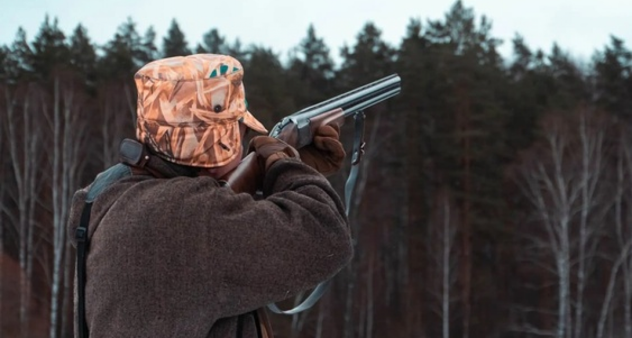 В Нижегородской области закрыли охоту, но волков можно добывать до 2026 года