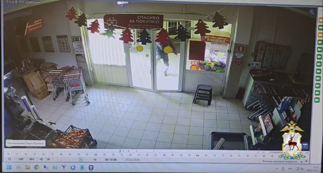 Арзамасский гурман взломал магазин ради ночного перекуса