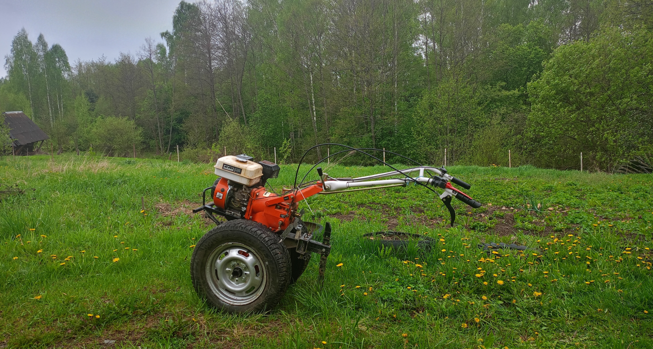 Никакого газона: как устроить дачу, на которой не пропадаешь с мотыгой с утра до ночи