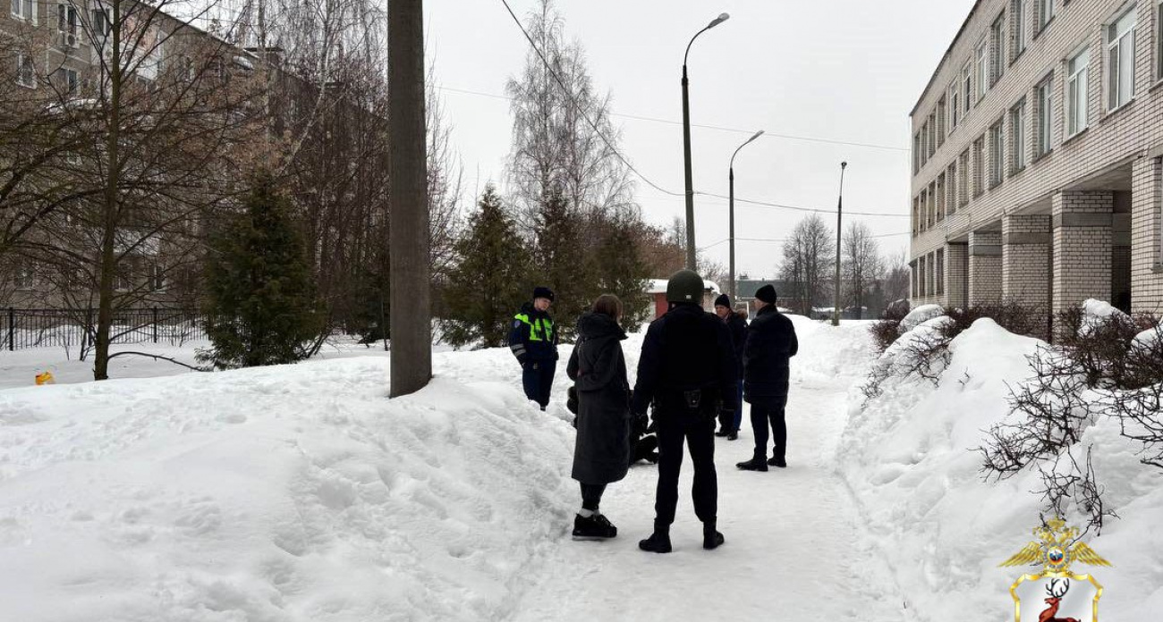В Дзержинске задержали мужчину и женщину, угрожавших гранатой сотрудникам ГИБДД при проверке документов