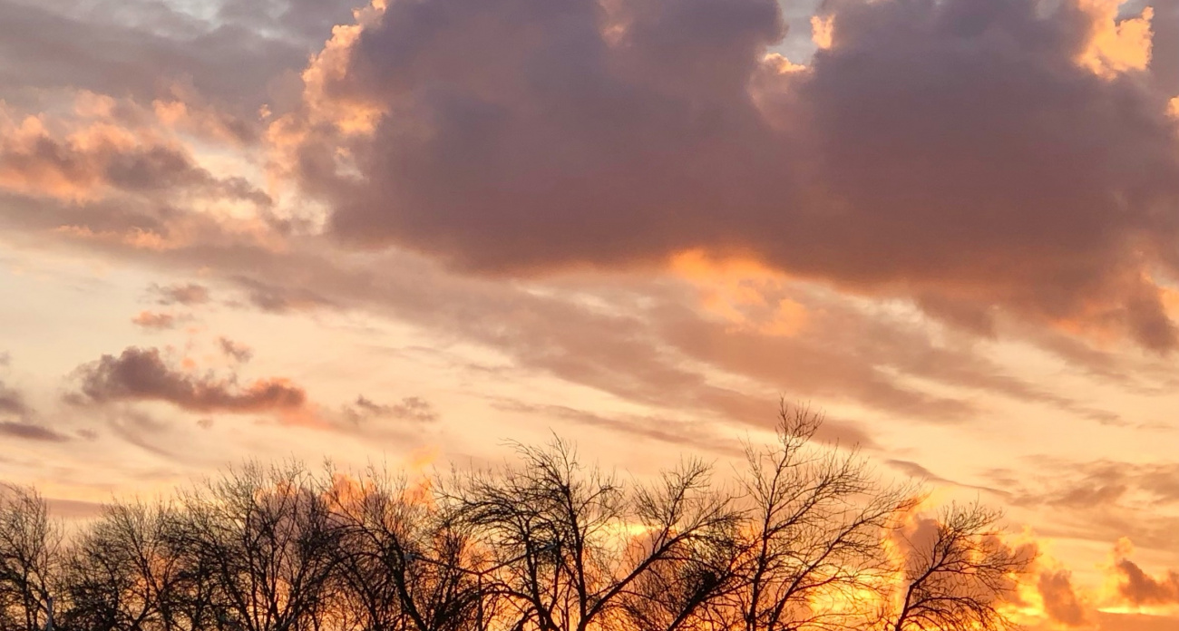 Не смотрите на календарь - весна и лето в 2026 году наступят не по расписанию