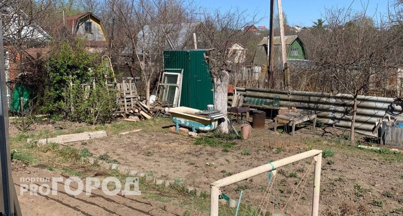 Мощнее любого навоза: рассыпаем прямо по снегу в марте – к посеву почва мягче бархата