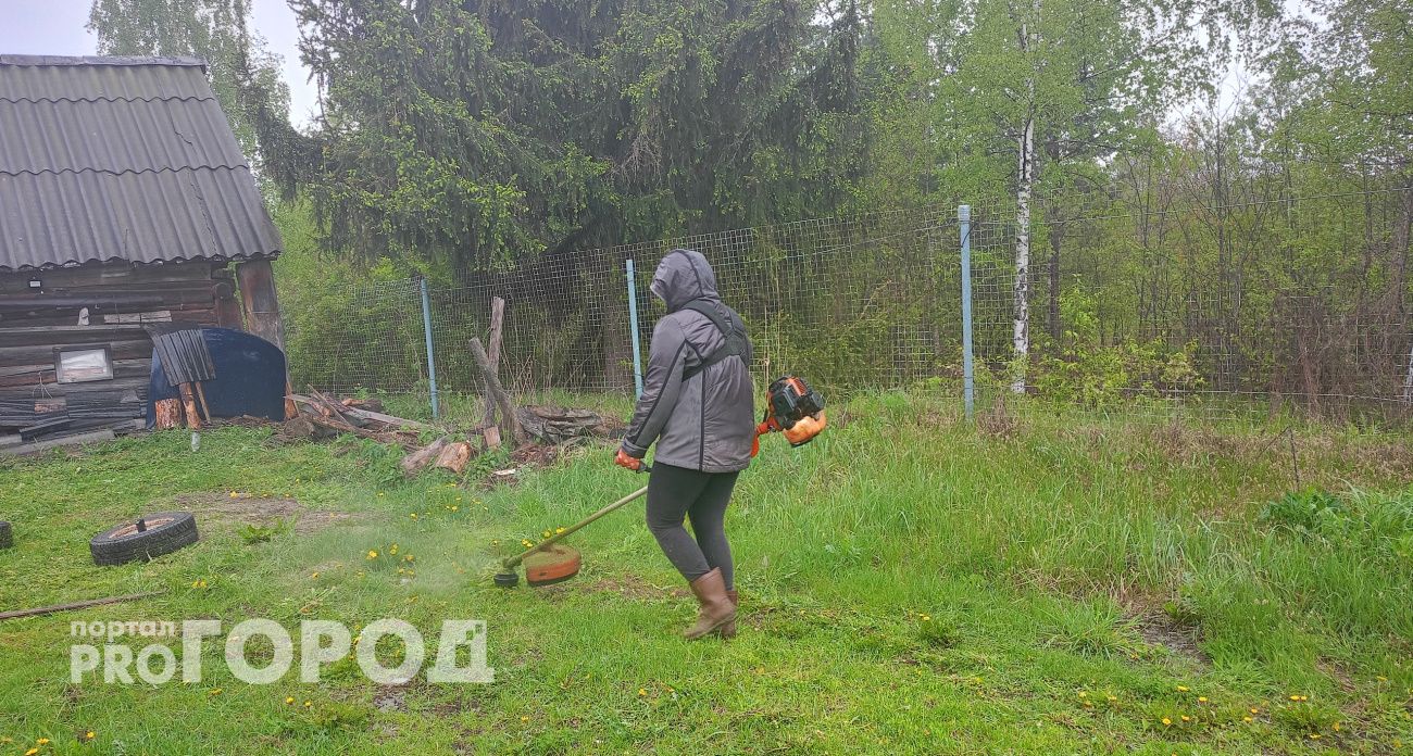 Жителям Нижегородской области придется платить в 5 раз больше за заброшенные участки