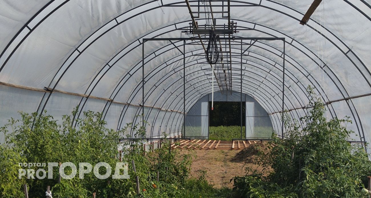 Один раз собрал – и грею теплицу до пяти суток без подзаправки: дешёвый обогрев из ведра и банки