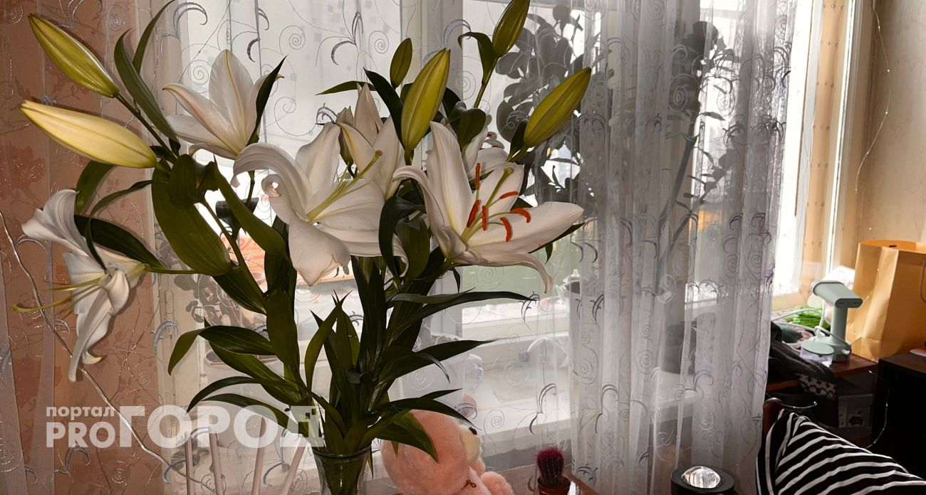 Мальчику не продали цветы для мамы из-за возраста в Нижнем Новгороде 