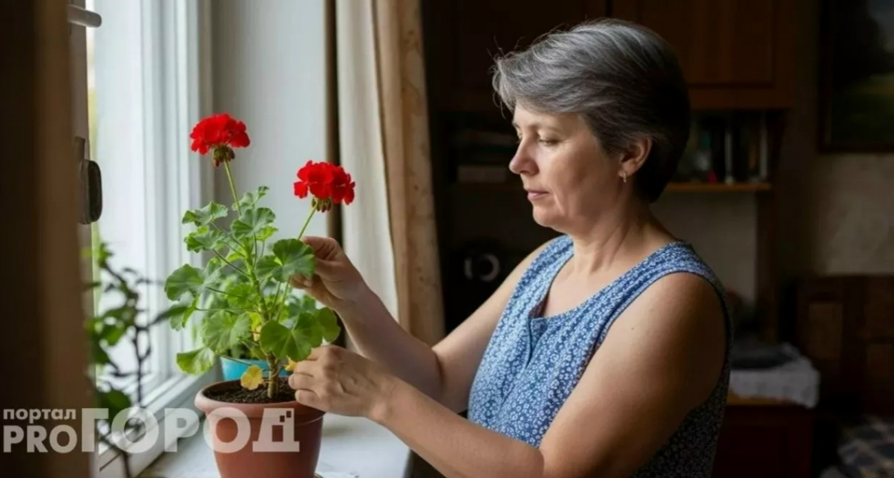 Положите лист герани в карман – эффект просто сногсшибательный: простой лайфхак от бабушек