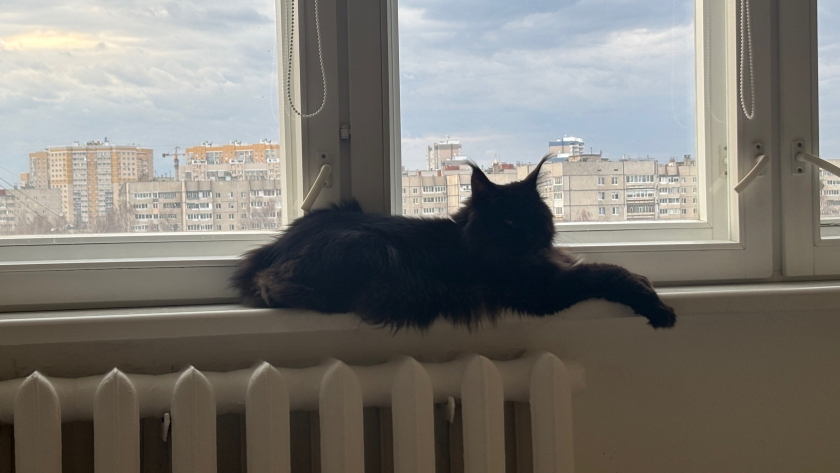 Про Город