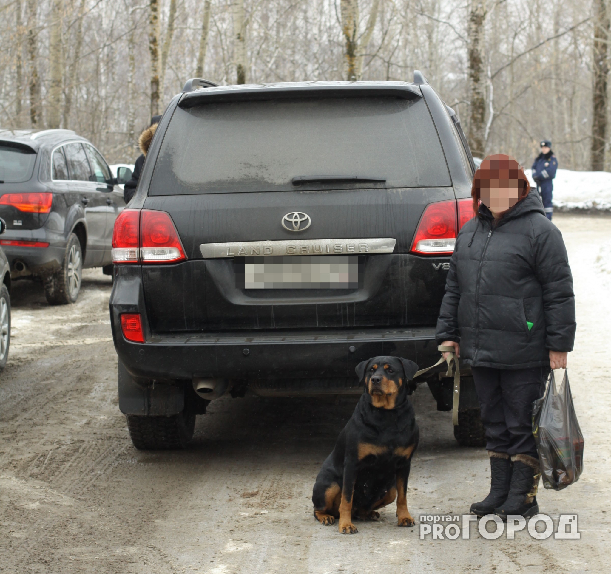 В Нижнем Новгороде собаки откусили голову хозяйке и обглодали ее кости