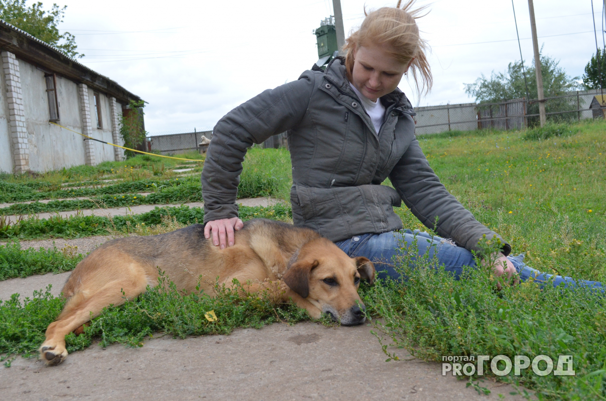 Нижегородские «волонтеры» украли у больных животных 252 тысяч рублей