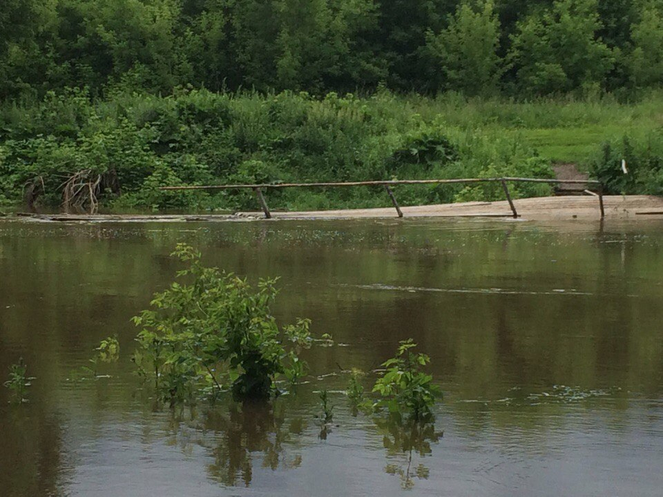 В Нижегородской области из-за осадков поднимается уровень воды в реках (фото)