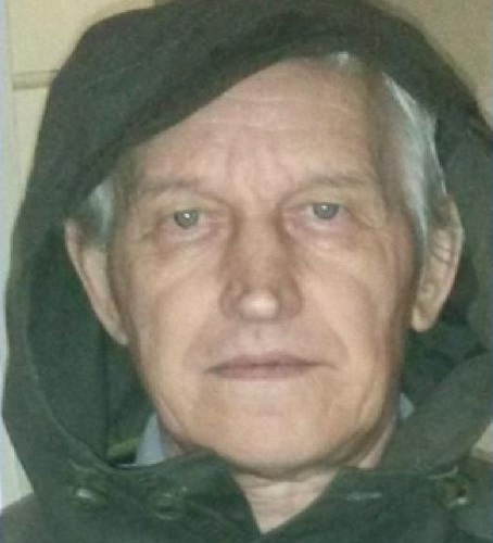 В Нижегородской области бесследно пропал 76-летний Виктор Сапожников