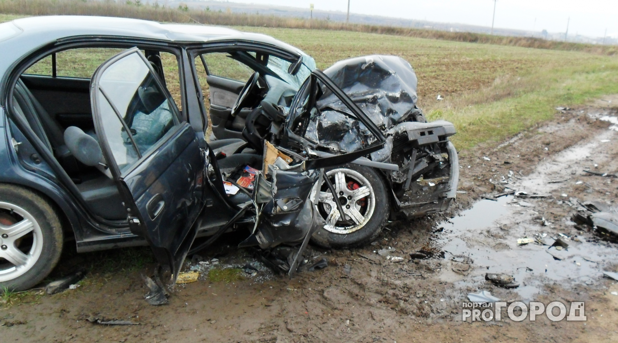 Пять человек попали в больницу по вине нижегородской автоледи
