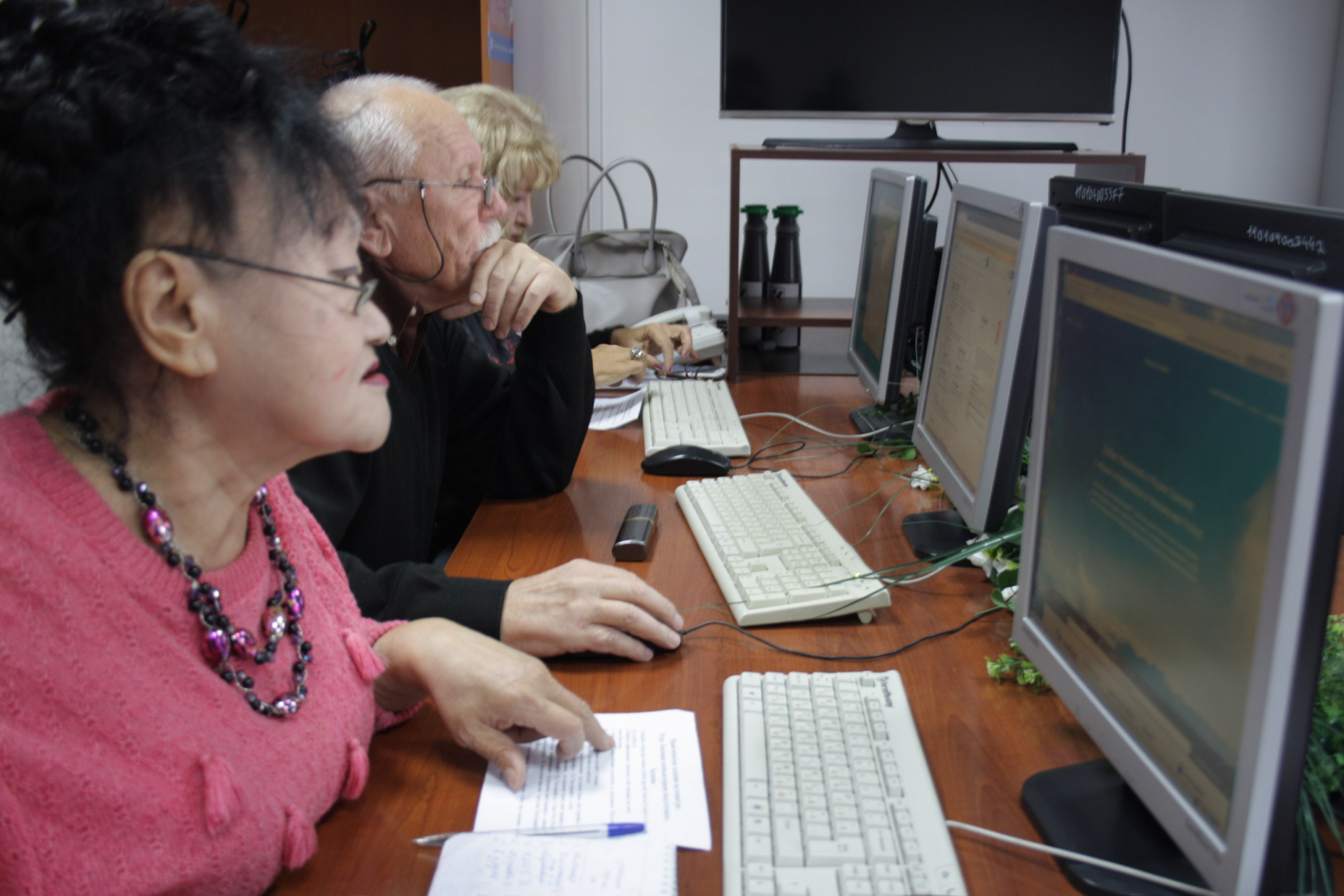 Нижегородские пенсионеры осваивают интернет
