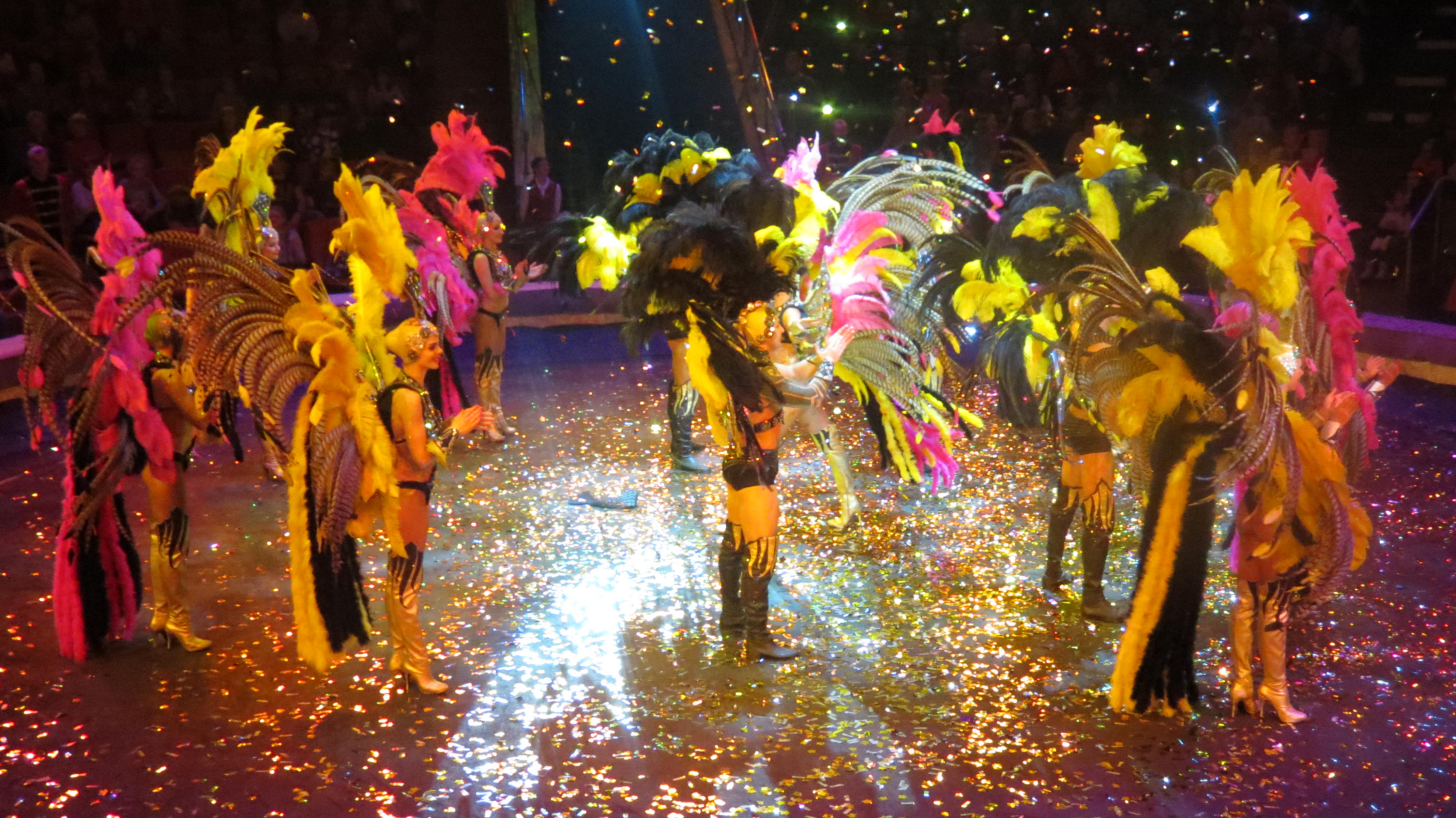 Нижегородцы о цирковом шоу «Баронеты»: «Действительно королевское представление» (фото, видео)