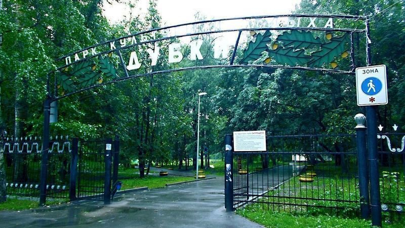 Нижегородцы пытаются спасти парк "Дубки" от чиновников