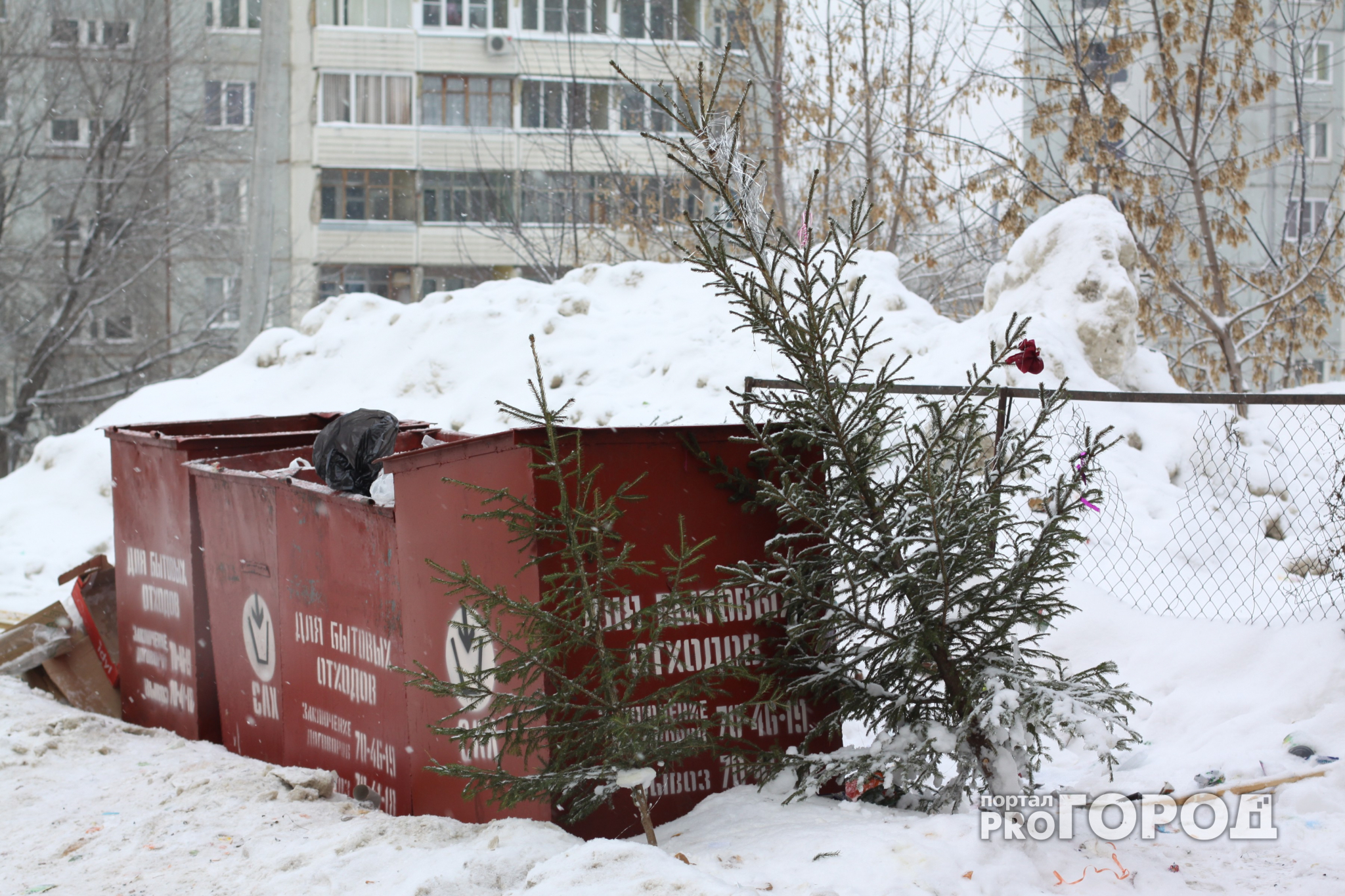 "Праздник, который мы заслужили": нижегородцы возмущаются новогодними елками (ФОТО)