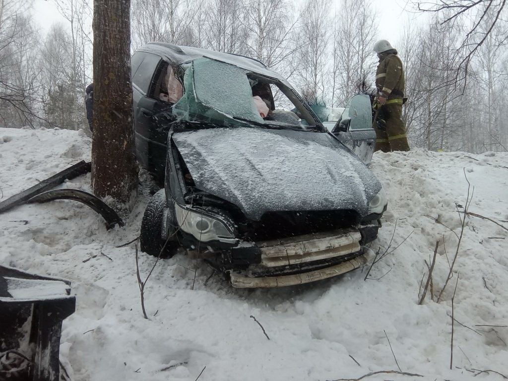 В Нижегородской области автоледи на иномарке протаранила дерево
