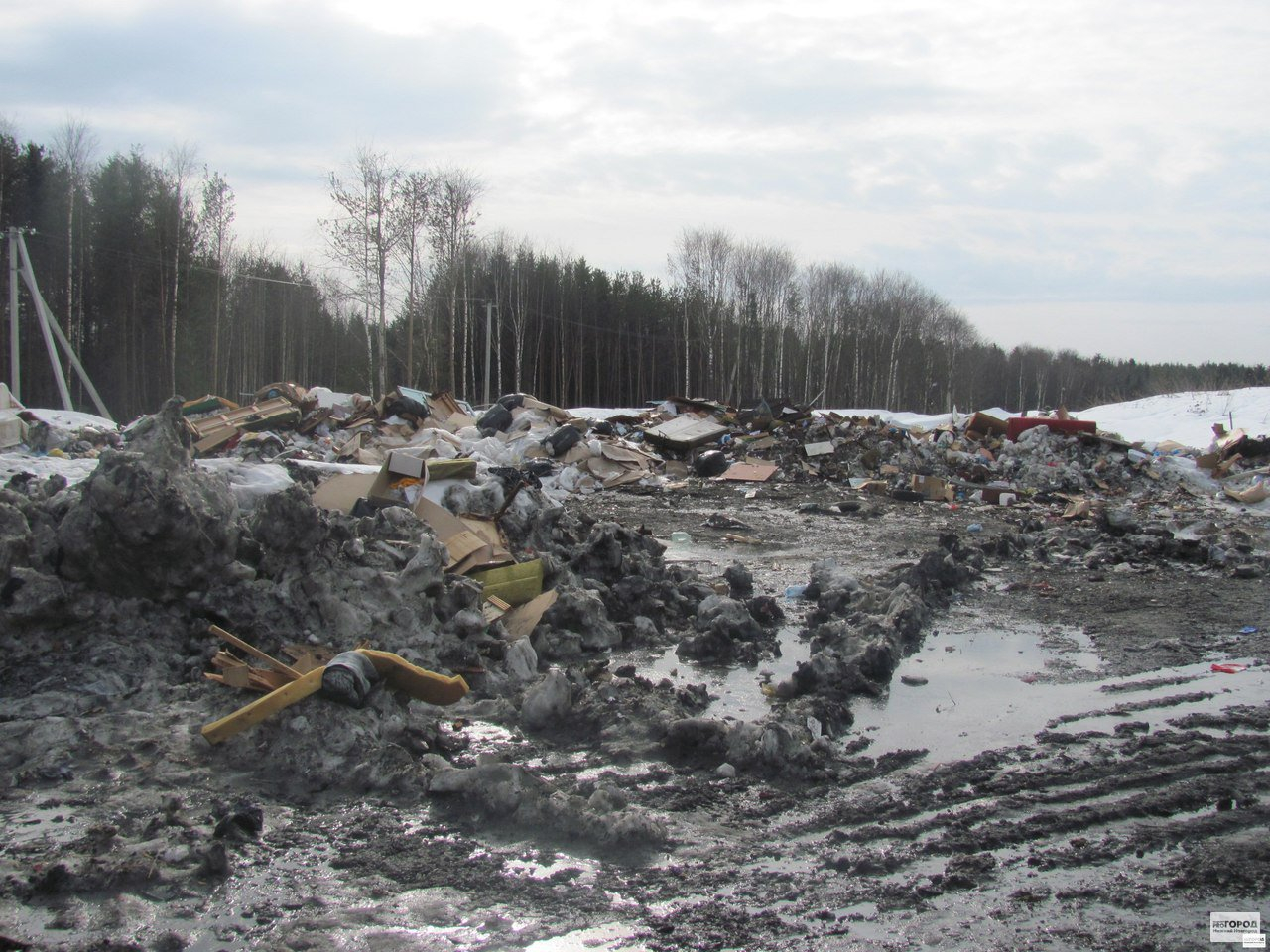 На определение химсостава отходов на заводе "Заря" в Дзержинске потратят почти миллион
