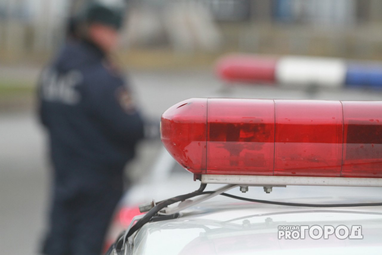 В Нижнем Новгороде автоледи сбила девятилетнюю девочку